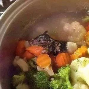 Meet your Posher, Daniel